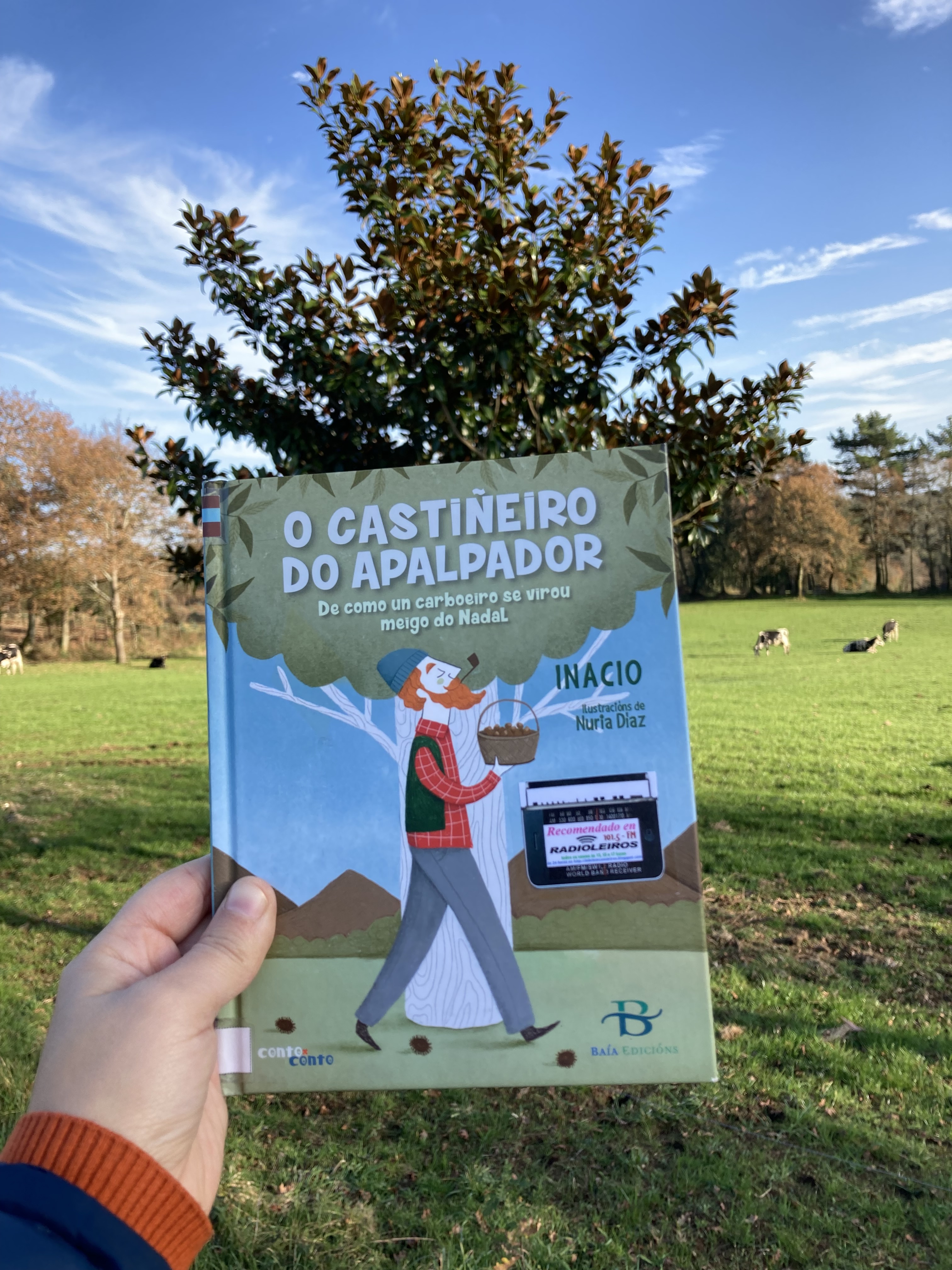 castineiro apalpador